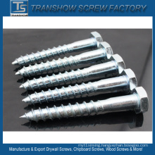 8*60mm Galvanized Steel DIN571 Wood Screw